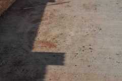 IMG-20241010-WA0024