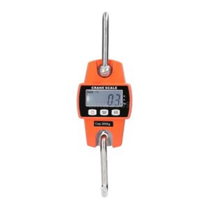 Mini Crane Scale
